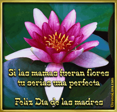 Another Spanish mothers day gifs image: (Feliz_Dia_Madres_Flores) for MySpace from ChromaLuna