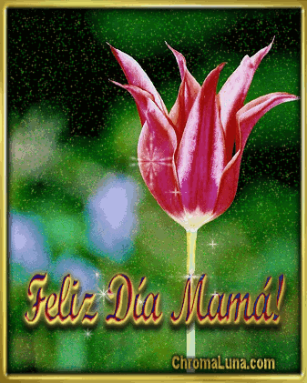 Another Spanish mothers day gifs image: (Feliz_Dia_Mama_Tuliip) for MySpace from ChromaLuna