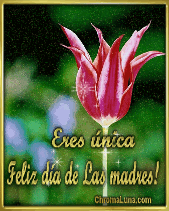 Another Spanish mothers day gifs image: (Feliz_Dia_de_Las_Madres_Tuliip) for MySpace from ChromaLuna
