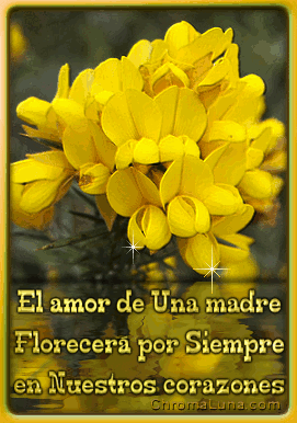 Another Spanish mothers day gifs image: (Madre_Corazones_Flower) for MySpace from ChromaLuna
