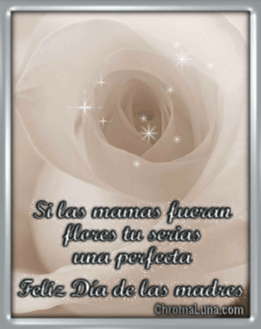 Another Spanish mothers day gifs image: (White_rose_Dia_Madres) for MySpace from ChromaLuna
