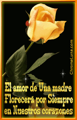 Another Spanish mothers day gifs image: (YellowRose-Madre_Corazones) for MySpace from ChromaLuna