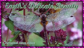 Another earthday image: (Dragonfly) for MySpace from ChromaLuna