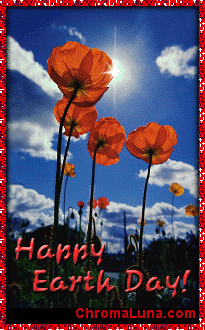 Another earthday image: (Poppies) for MySpace from ChromaLuna