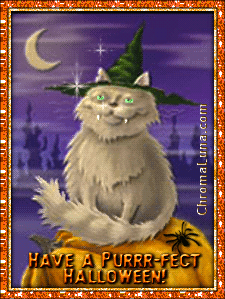 Another halloween image: (Halloween_Cat) for MySpace from ChromaLuna