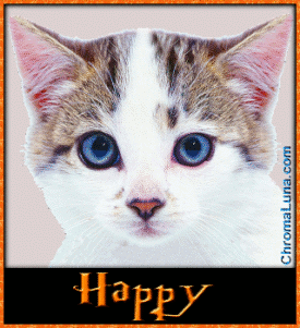 Another halloween image: (Halloween_Cat_Bite) for MySpace from ChromaLuna