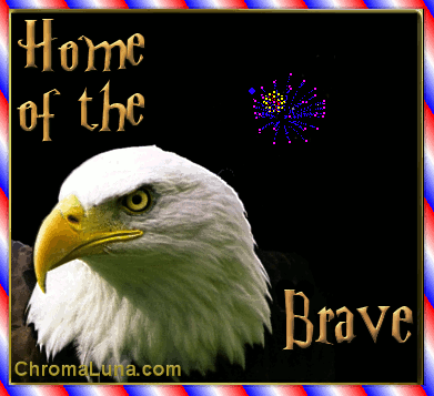 Another july4th image: (Eagle_Fireworks_Brave) for MySpace from ChromaLuna