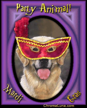 Happy Mardi Gras Comment - Dog wearing a mask