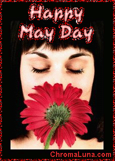 Another mayday image: (MayDay1) for MySpace from ChromaLuna