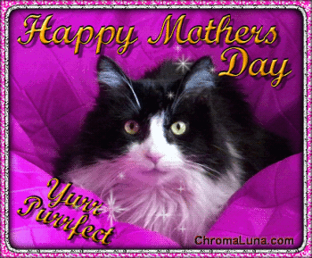 Another mothersday image: (MothersDay_Cat) for MySpace from ChromaLuna