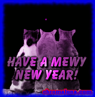 MySpace Happy New Year Comments - Cats watching Fireworks