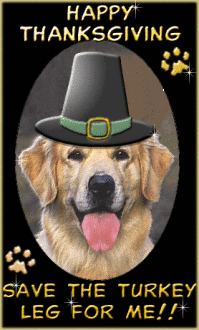 Another thanksgiving image: (DogInHat) for MySpace from ChromaLuna