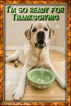 Another thanksgiving image: (ThanksgivingBowl) for MySpace from ChromaLuna