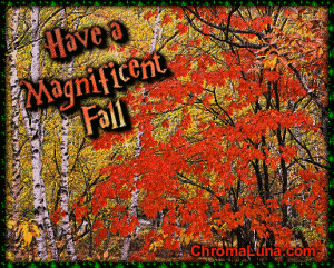 Another fall image: (Autumn2S) for MySpace from ChromaLuna