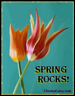 Another spring image: (SpringRocks) for MySpace from ChromaLuna