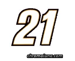 Another NASCAR_Numbers image: (NASCAR_21_Large) for MySpace from ChromaLuna