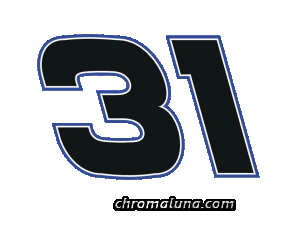 Another NASCAR_Numbers image: (NASCAR_31_Large) for MySpace from ChromaLuna