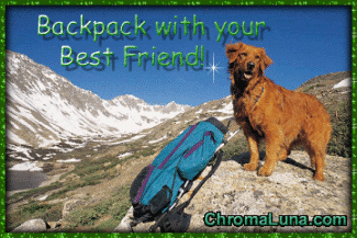 Another recreation image: (BackpackingDog) for MySpace from ChromaLuna